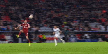 1635894872105599.gif 8.gif