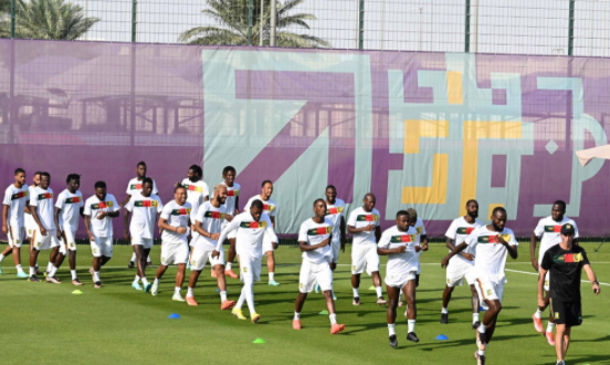 世界杯前瞻-喀麦隆VS塞尔维亚:米神弗拉霍维奇拼进球 非洲雄狮连败恐继续 世界杯前瞻-喀麦隆VS塞尔维亚:米神弗拉霍维奇拼进球 非洲雄狮连败恐继续