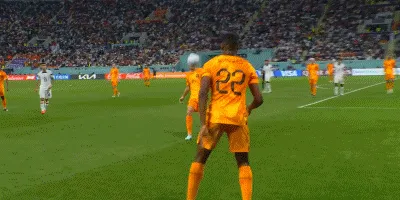 1670082868548587.gif 02.gif