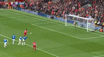 1697895934324984.gif 01.gif