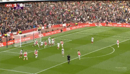 1698509765156897.gif 3.gif