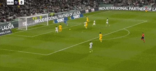 1705865998659935.gif 2.gif